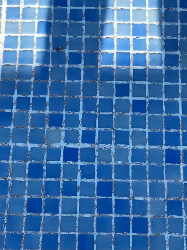 A full re-grout needed...